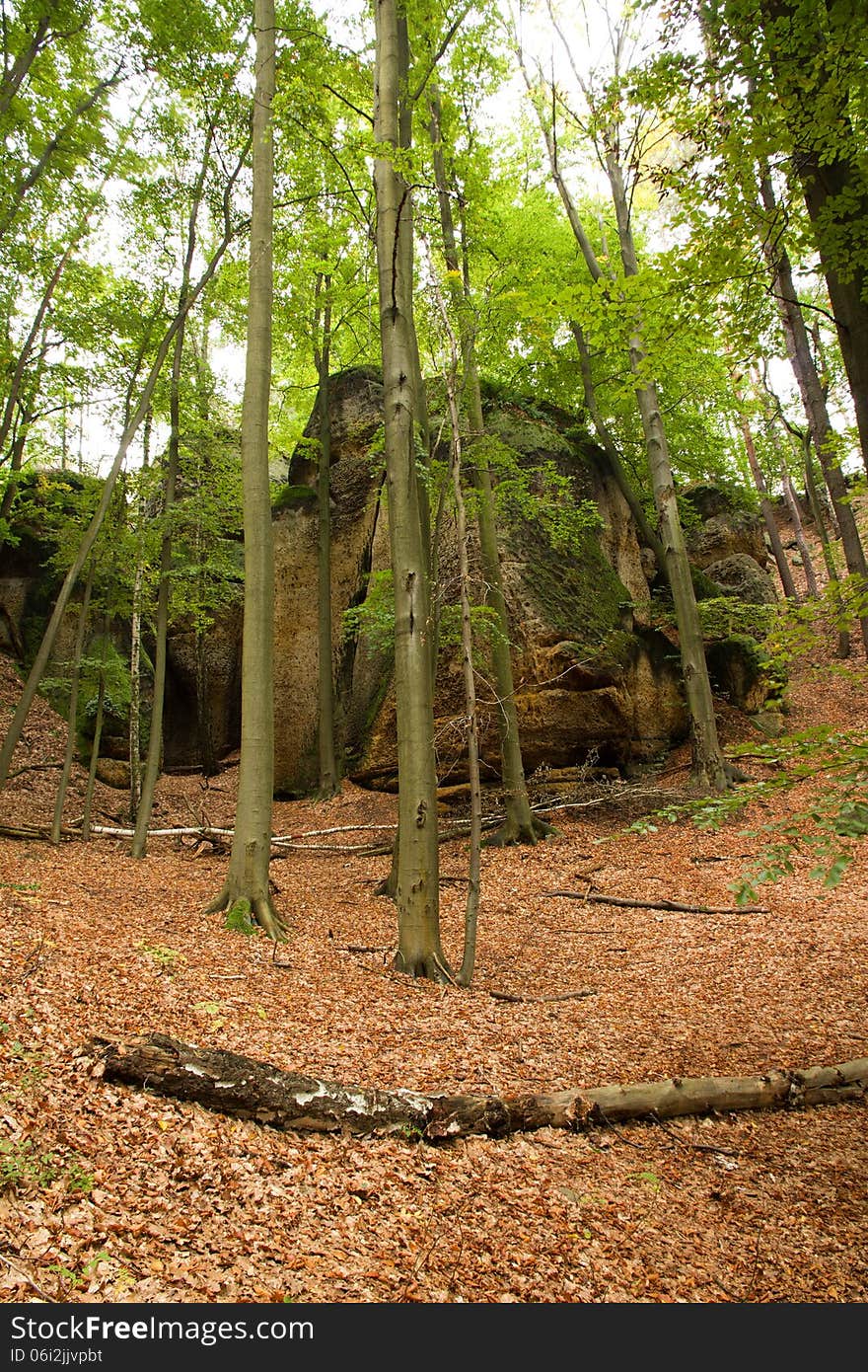 View of the valley on the rock. View of the valley on the rock