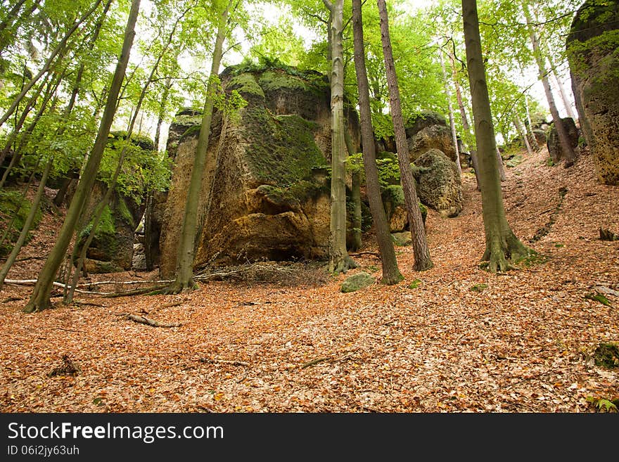 View from the valley up into the rocks