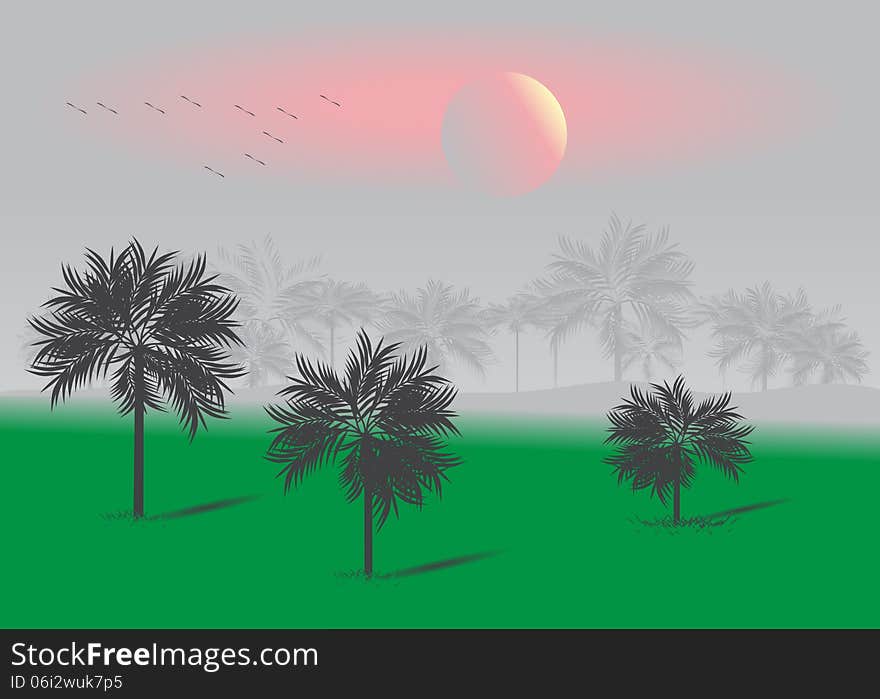 Tropics. Tropical landscape with Palm forest on a background of pink sunset and a flock of migratory birds