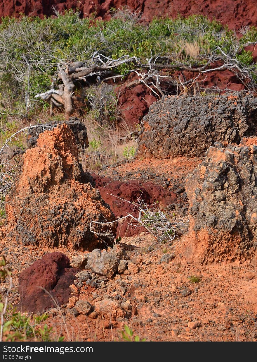 Single trees on red bronze rock . Seen these King Vijaya named island as thambapanni meaning 'bronze sand.'. Single trees on red bronze rock . Seen these King Vijaya named island as thambapanni meaning 'bronze sand.'