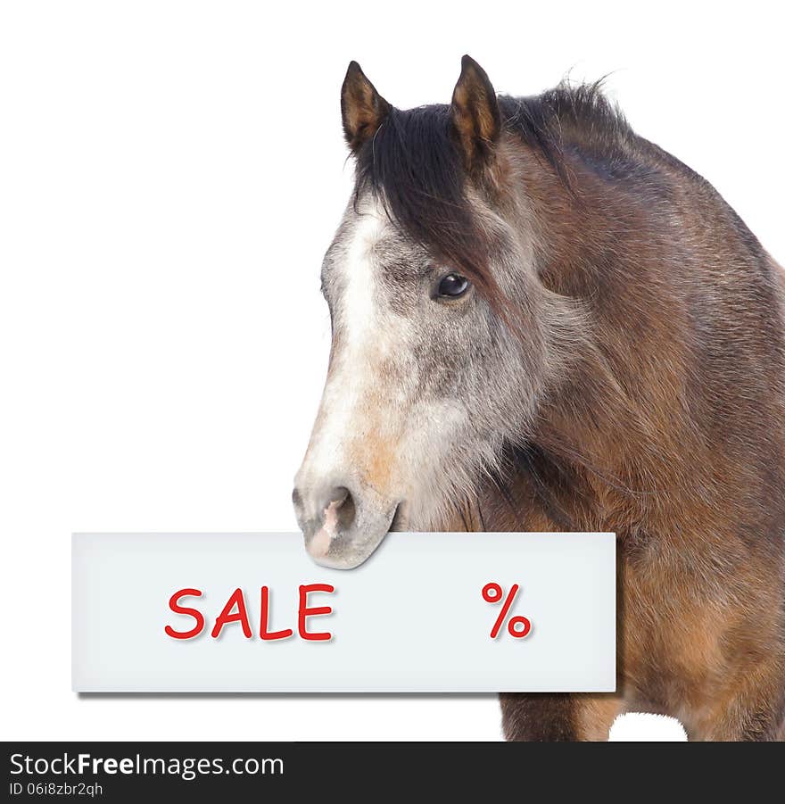 Horse with sale percent sign on white background shop sale text