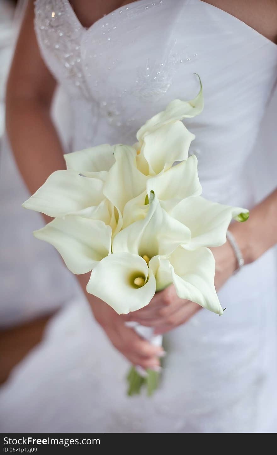 Bridal bouquet of callas