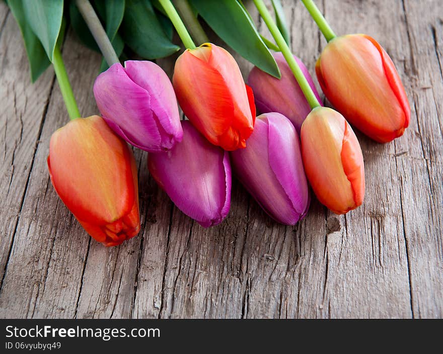 Beautiful tulips on a wooden background