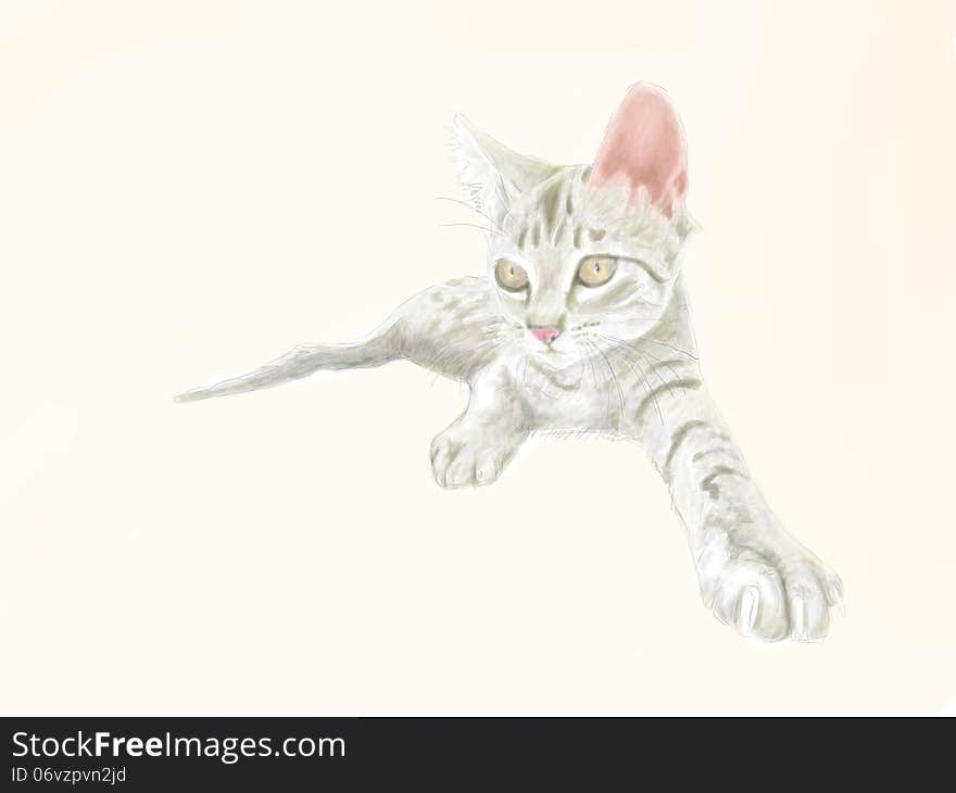 Illustration  of relaxing young cat