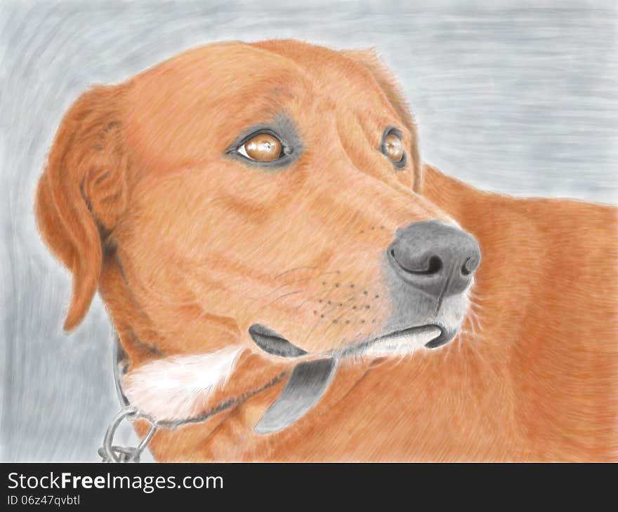 Illustration of a sad dog