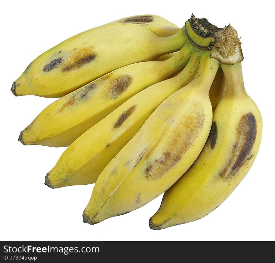 Closeup bunch of musa basjoo siebold (aisa bananas) isolated on white