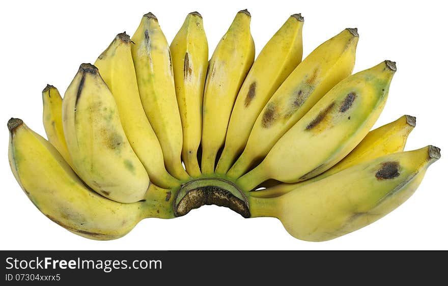 Closeup bunch of musa basjoo siebold (aisa bananas) isolated on white