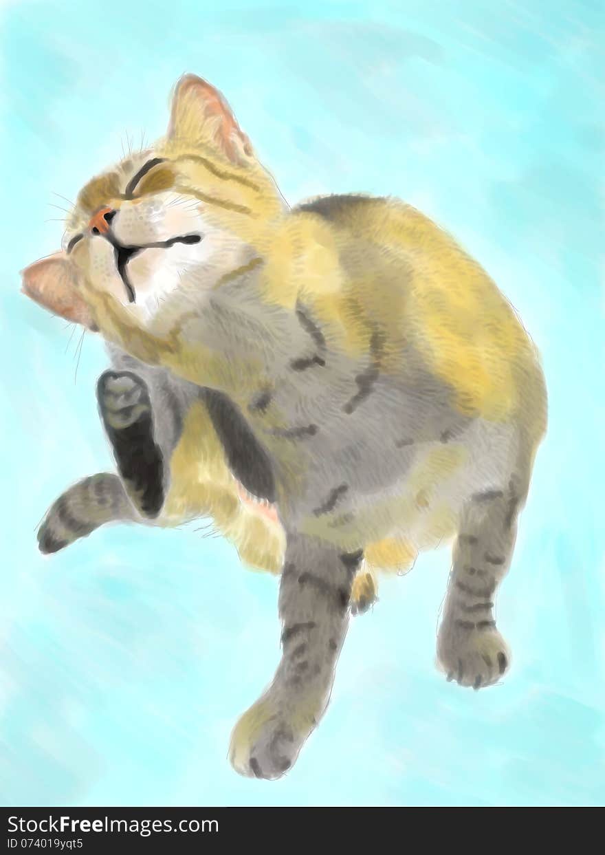 Cat Illustration