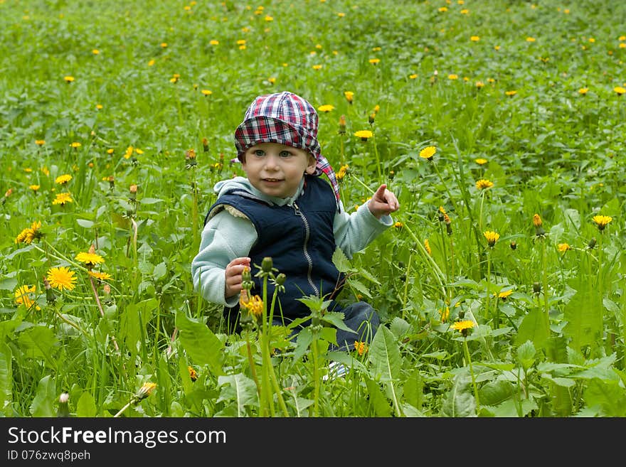 One and a half year old boy child on the lawn with dandelions