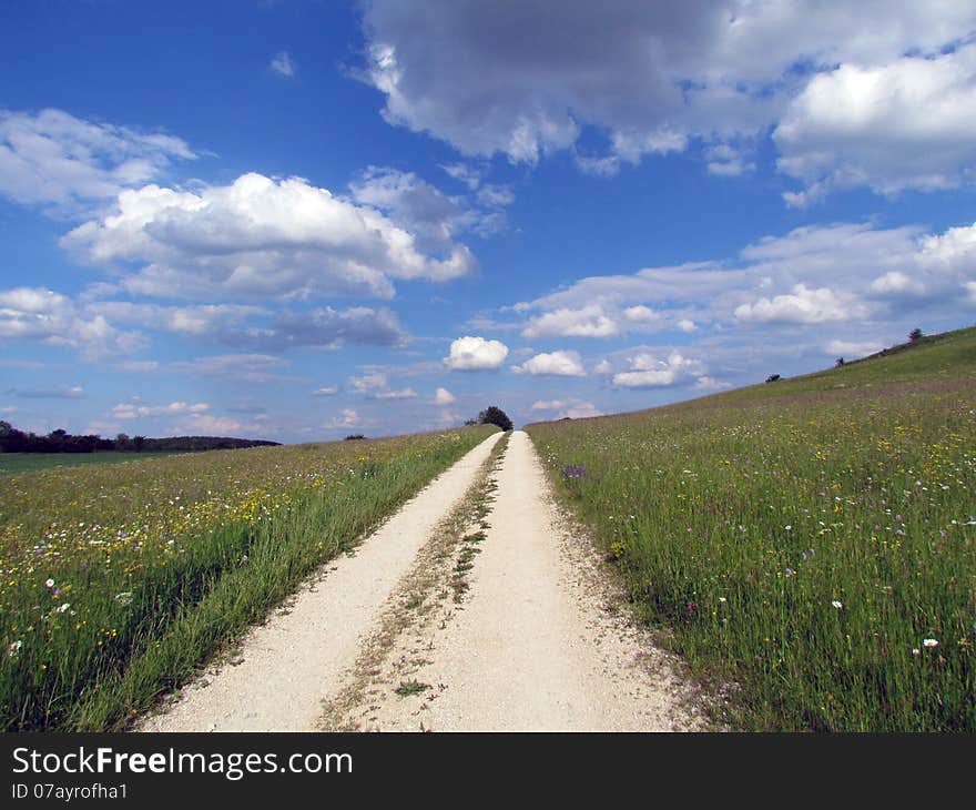 A road that seems going to heaven. Beside the road are flowers of all kind. A road that seems going to heaven. Beside the road are flowers of all kind.