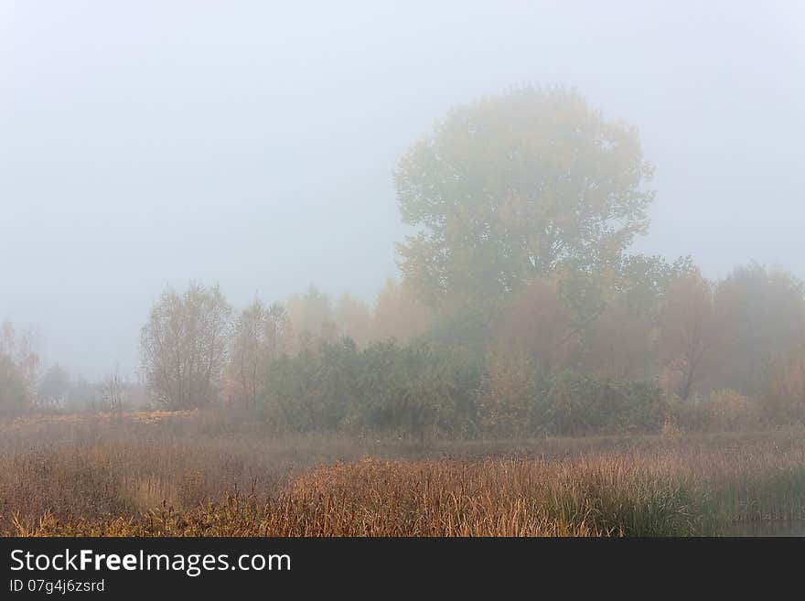 Morning autumn landscape meadows forests