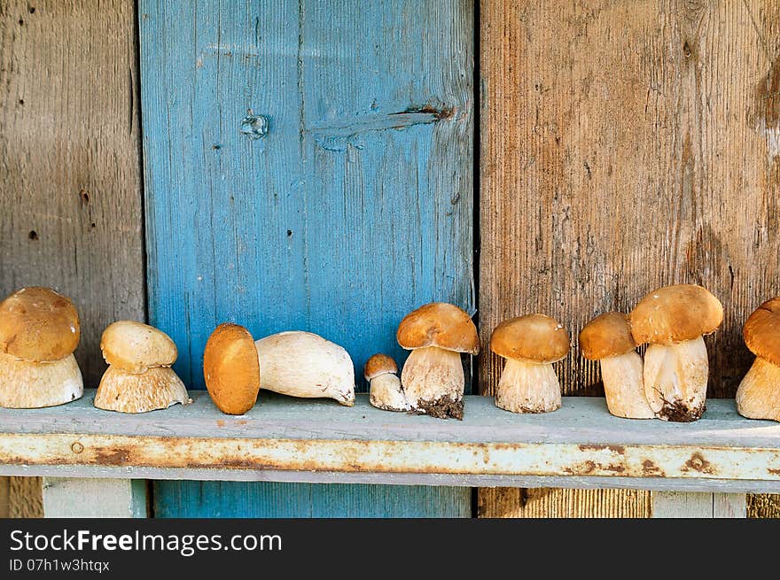 Fresh mushrooms cepes on wooden background