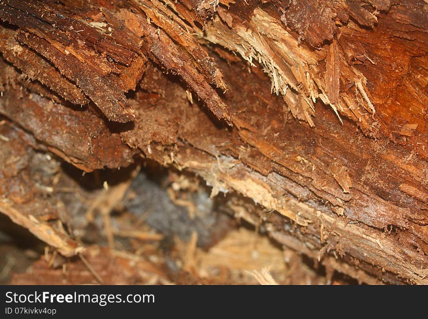 Wood stack closeup texture logs log split brown beige orange background grain