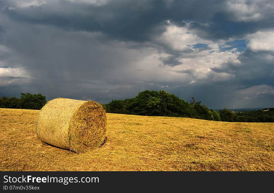 Bale Of Hay