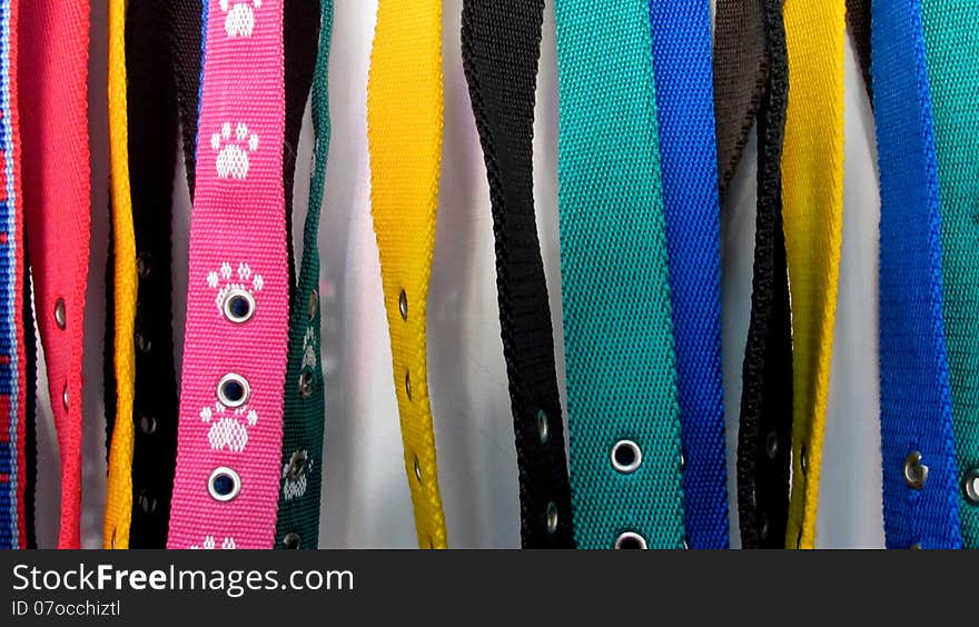 The dog leashes assorted colors