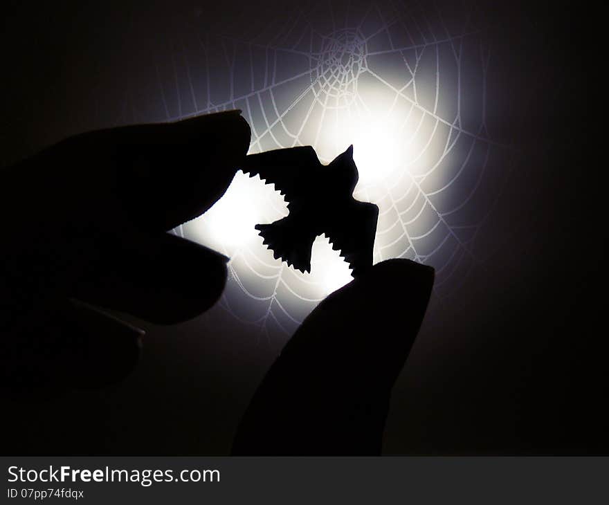 Bird in flight, which caught someones hand and saved from cobwebs.  Bird in flight, which caught someones hand and saved from cobwebs.