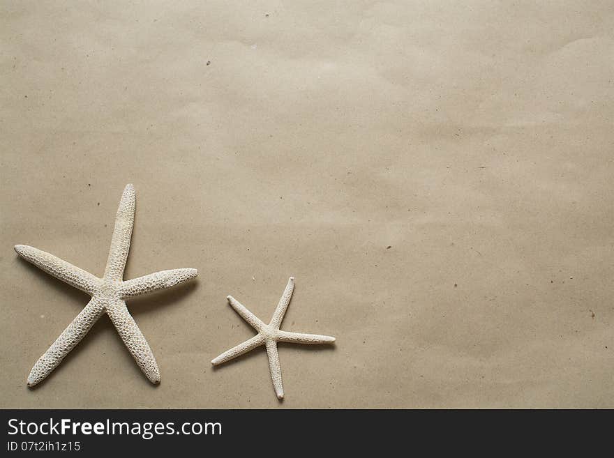 Starfish on brown paper