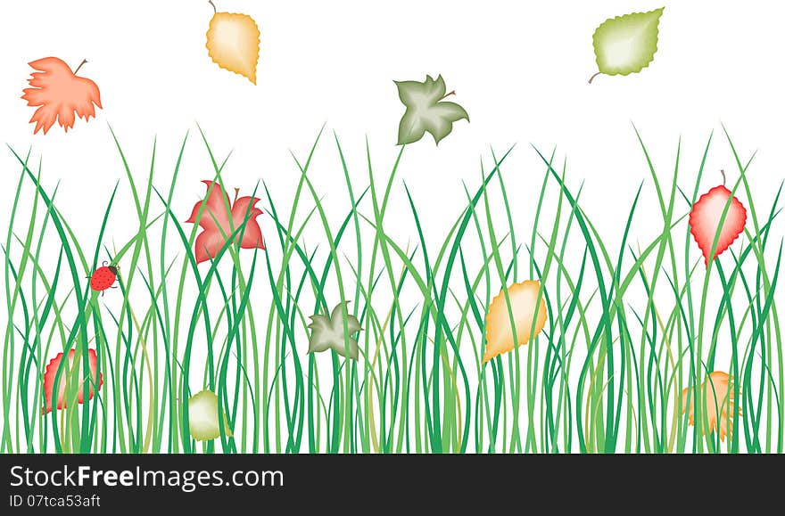 Vector image of the autumn grass and falling leaves.