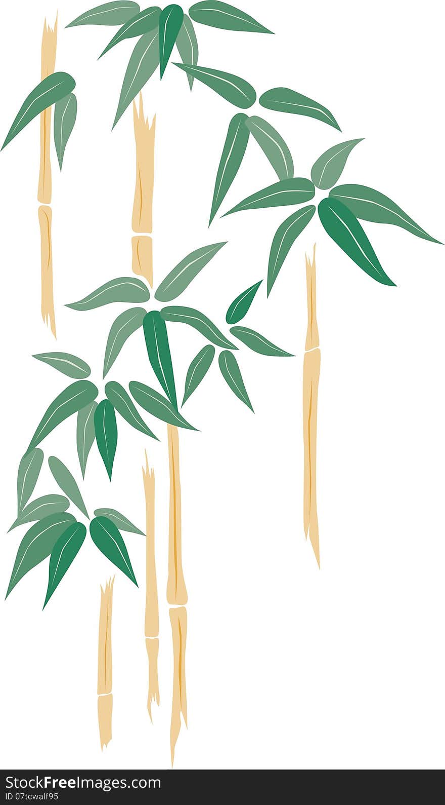 Bamboo