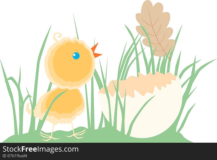 Vector image of the little chicken in the grass. Vector image of the little chicken in the grass.