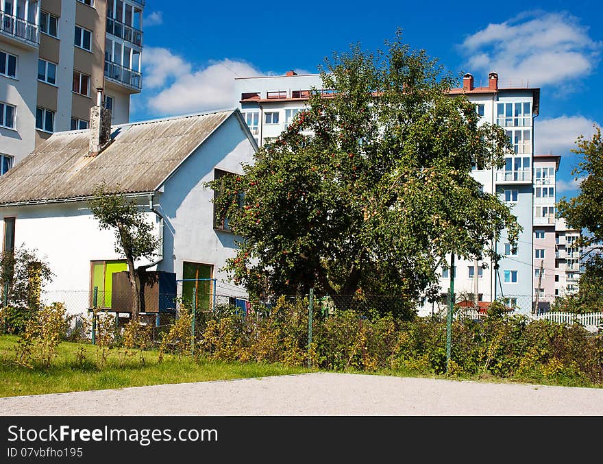 Apple tree with ripe apples near a small house