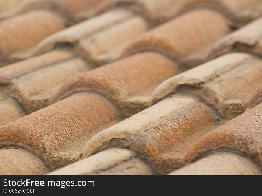 Traditional Thatched Roof