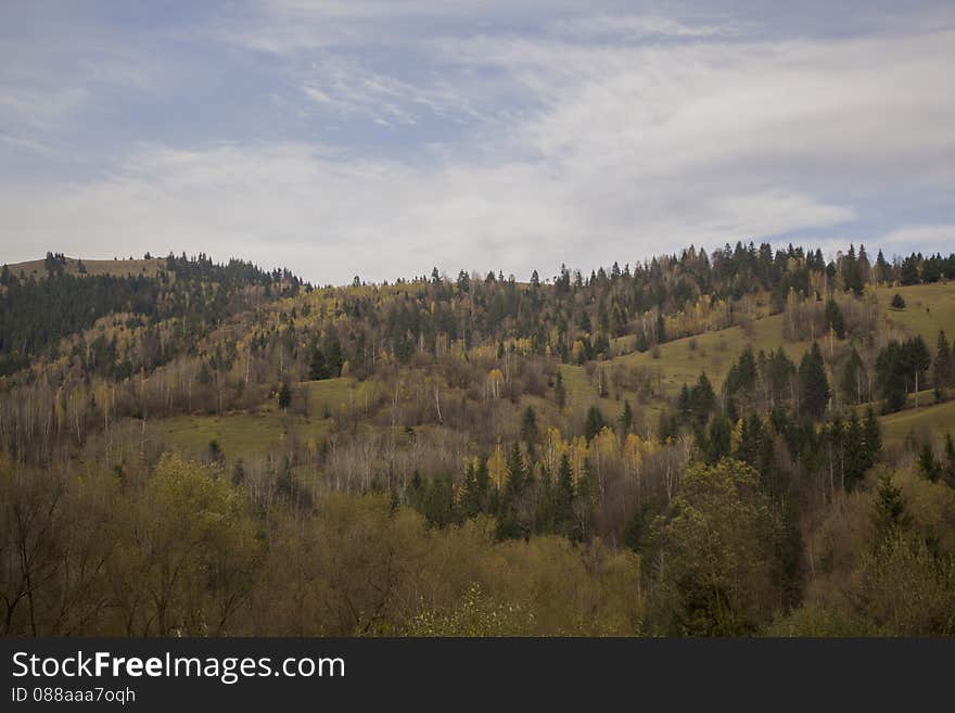 Autumn simple landscape