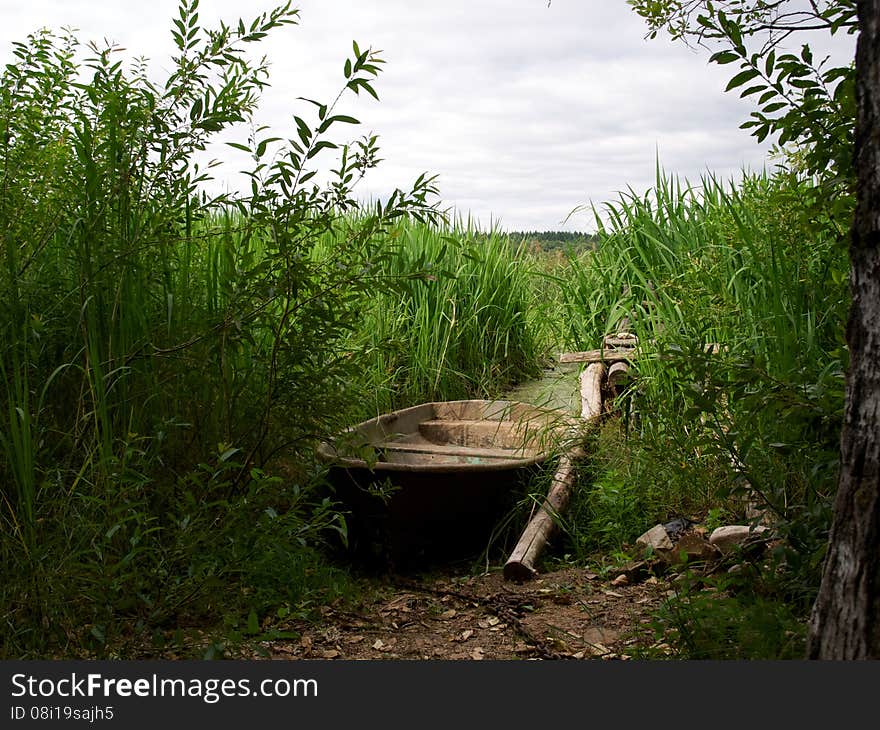 Boat in the tall grass