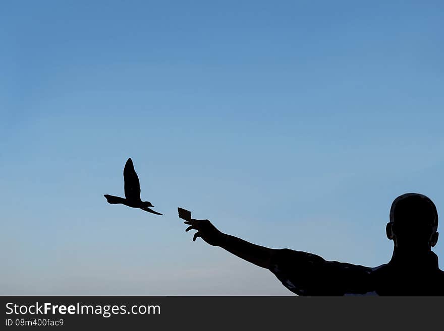 Meals rich from tourists for seagulls. It seen in silhouette image of a tourist that offers a biscuit to a seagull. Meals rich from tourists for seagulls. It seen in silhouette image of a tourist that offers a biscuit to a seagull.