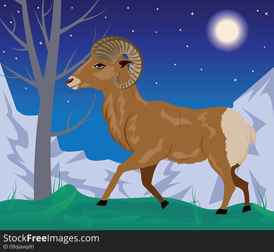 Cartoon illustration with wild big horned sheep in the mountains. Cartoon illustration with wild big horned sheep in the mountains.