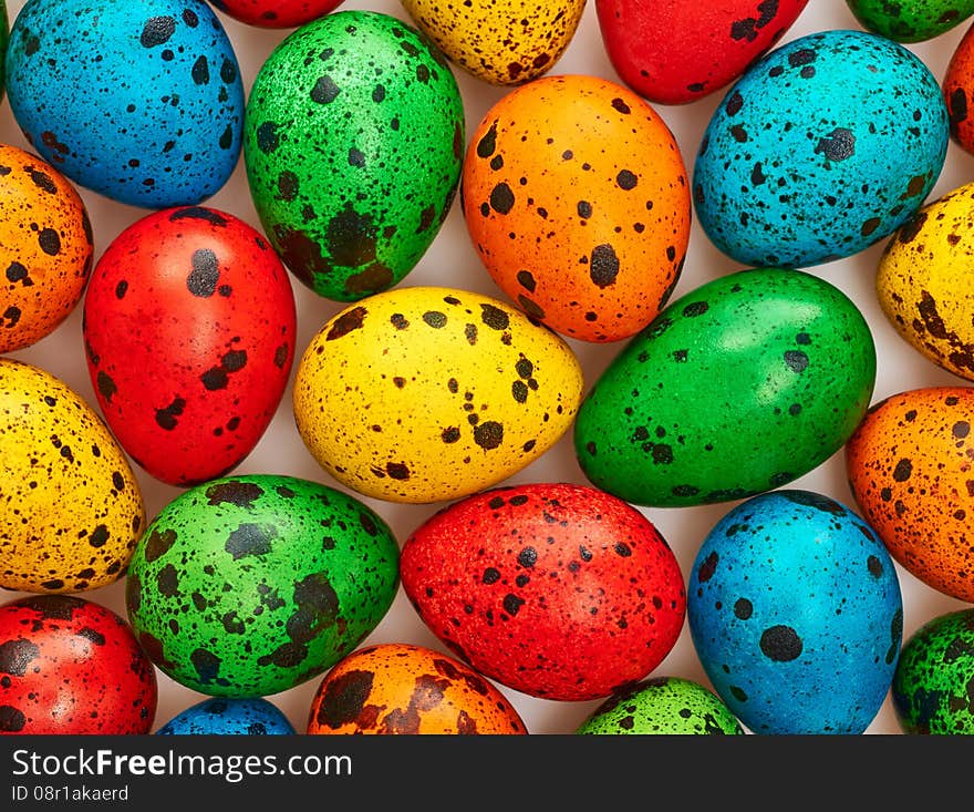 Easter Quail Eggs Painted Beautiful Multicolored Background