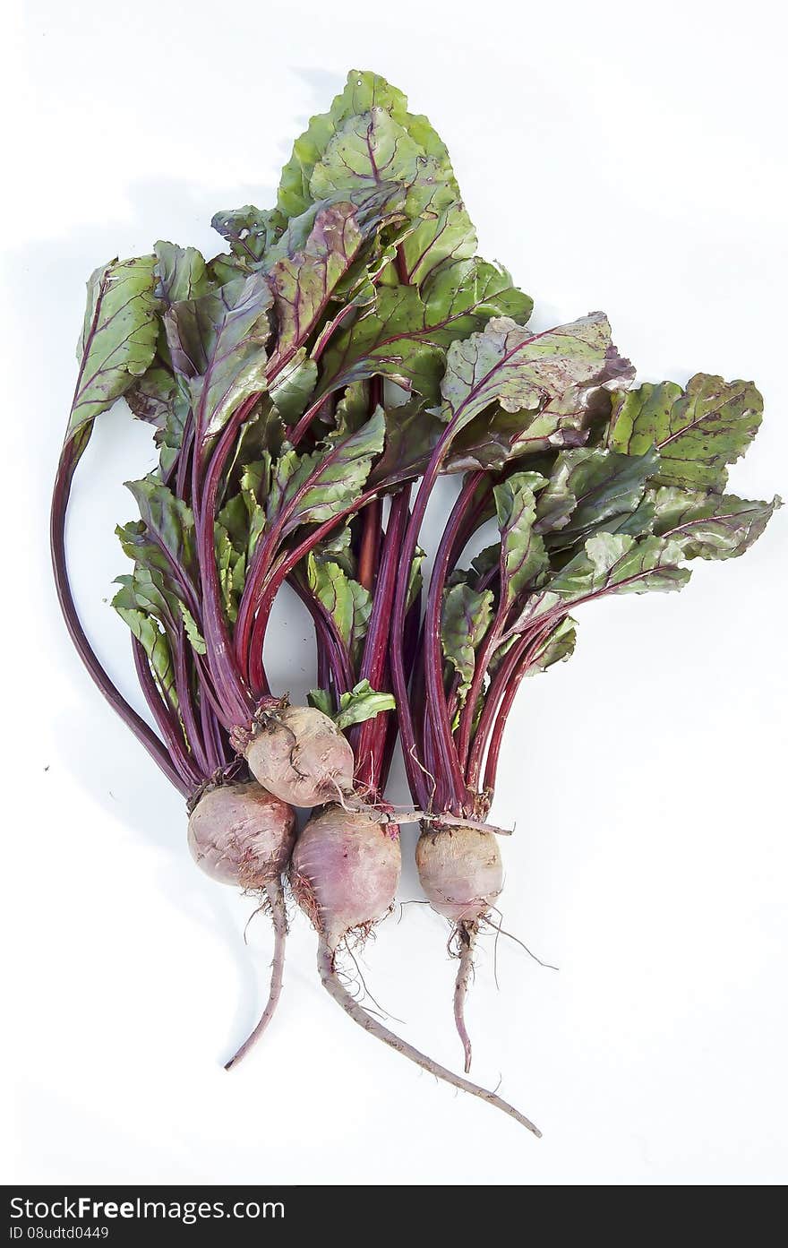 Fresh beets with green leaves on white