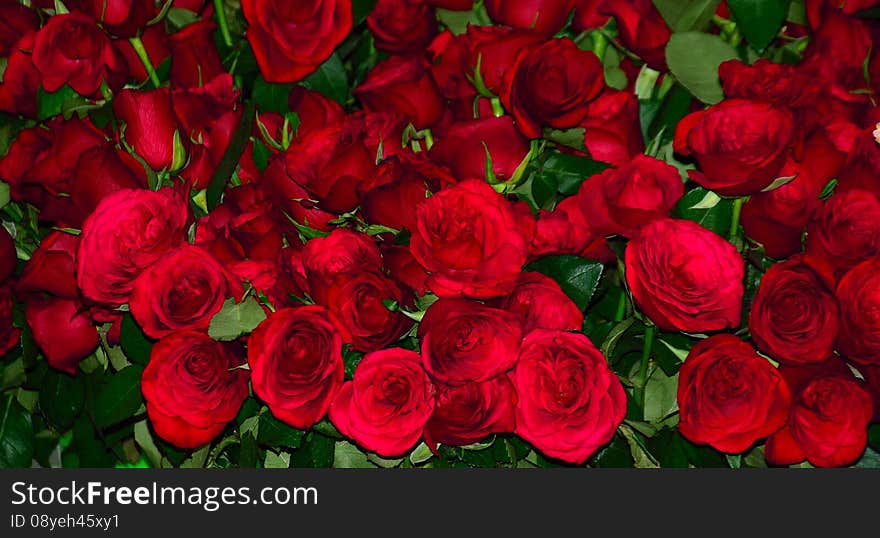 Natural Lovely Red Roses