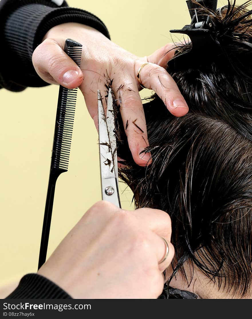 Cutting hair on adult woman of Caucasian origin. Cutting hair on adult woman of Caucasian origin