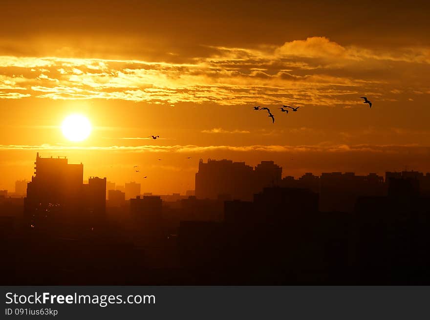 Sunrise over the city, clouds, sun and flying birds