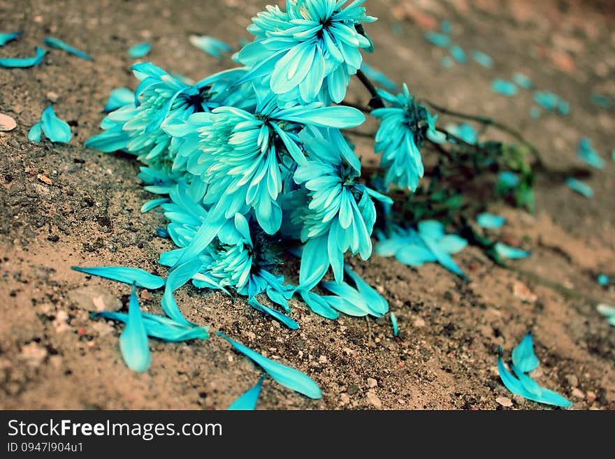 Blue Flowers