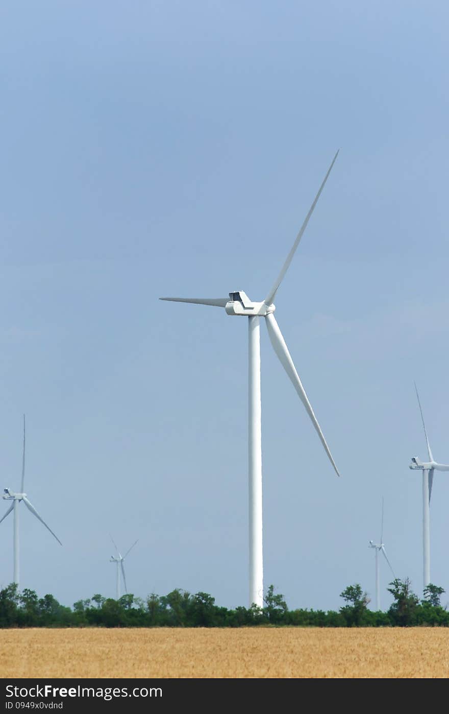 A wind farm in the wide spread wheat field