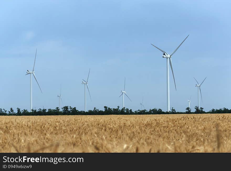 A wind farm in the wide spread field