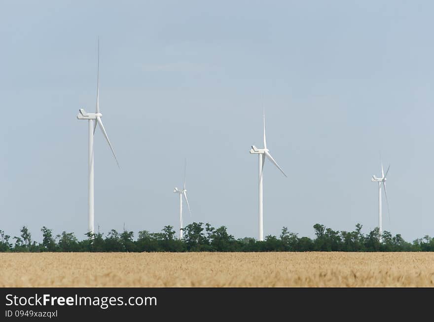 A Wind Farm In The Wide Spread Field