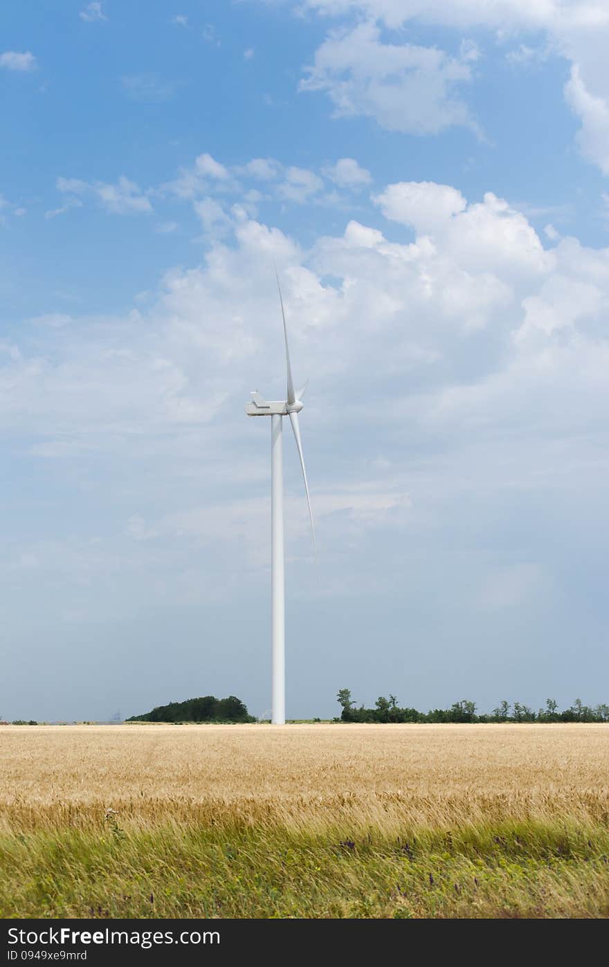 A Wind Farm In The Wide Spread Field