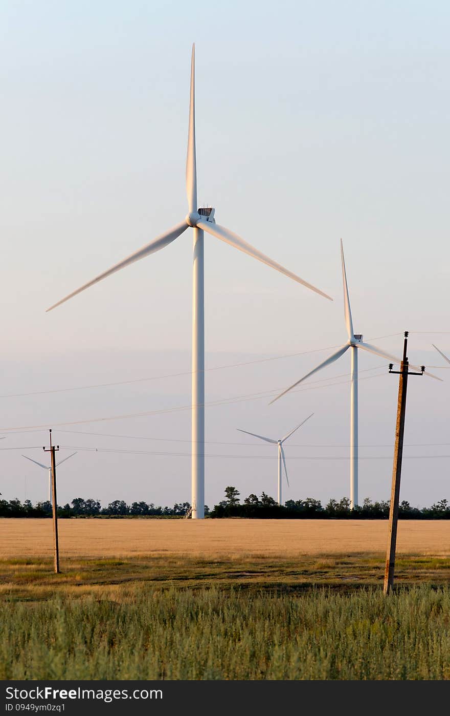 A Wind Farm In The Wide Spread Field