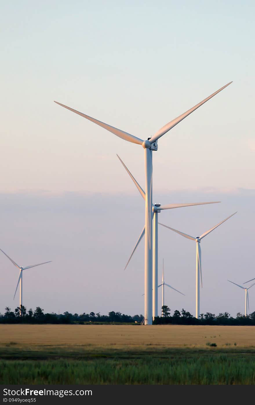 A wind farm in the wide spread wheat field