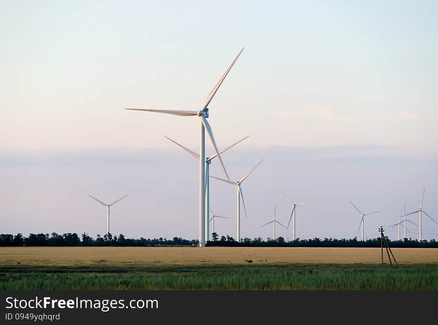 A wind farm in the wide spread wheat field