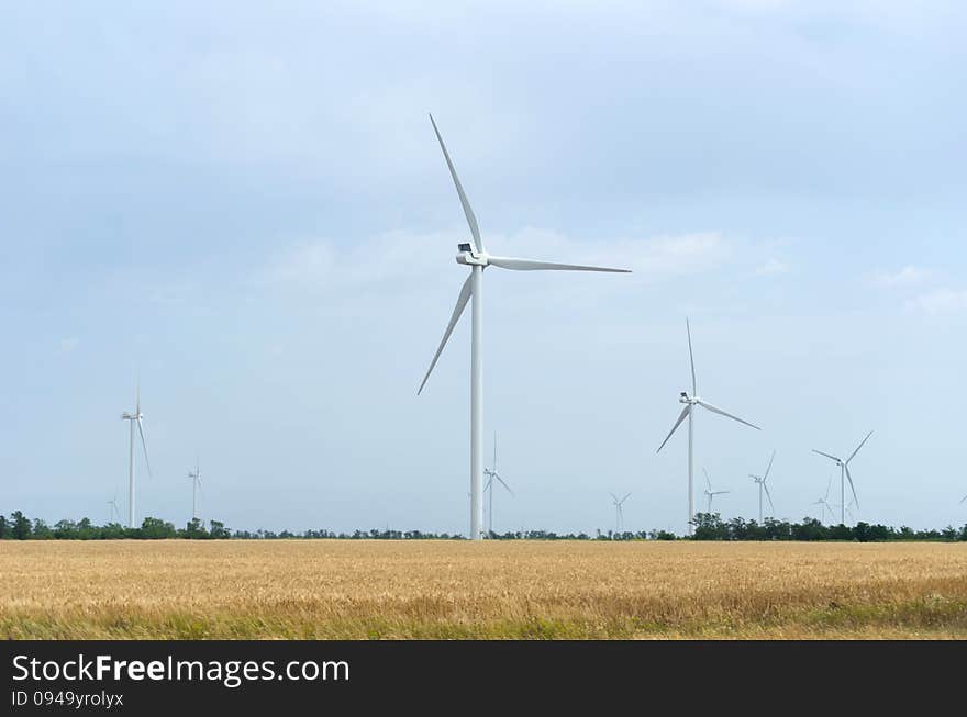 A wind farm in the wide spread wheat field