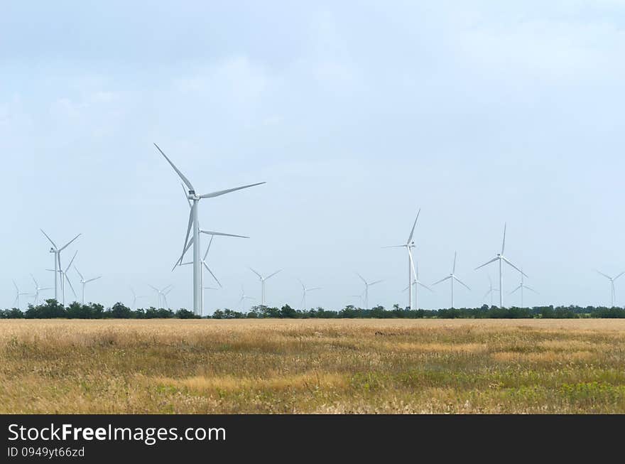 A wind farm in the wide spread field