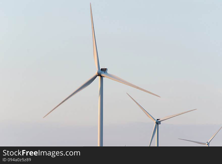 A wind farm in the wide spread wheat field