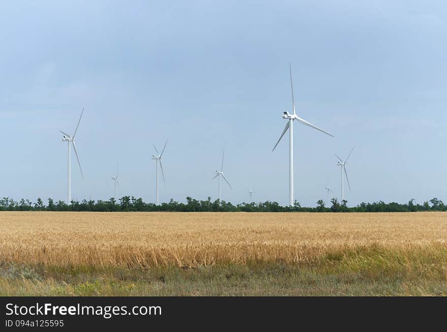 A wind farm in the wide spread wheat field