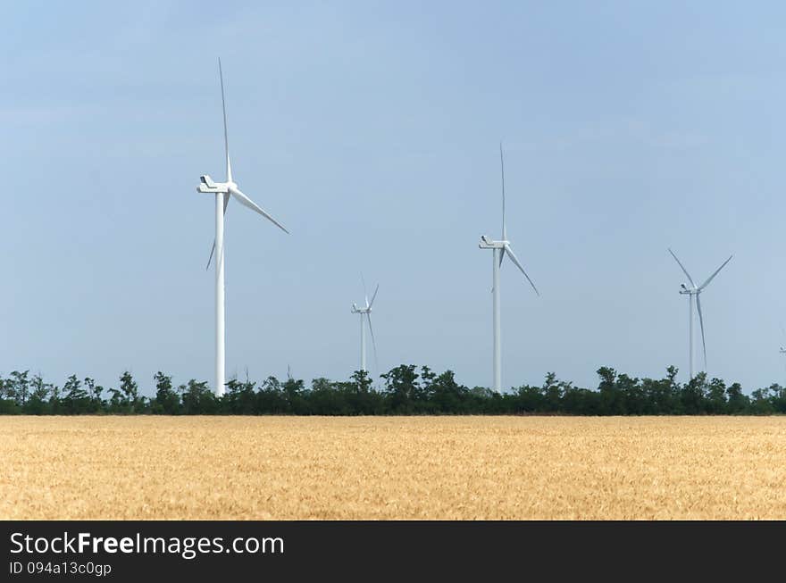 A wind farm in the wide spread wheat field