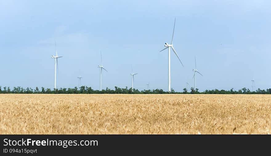 A Wind Farm In The Wide Spread Field