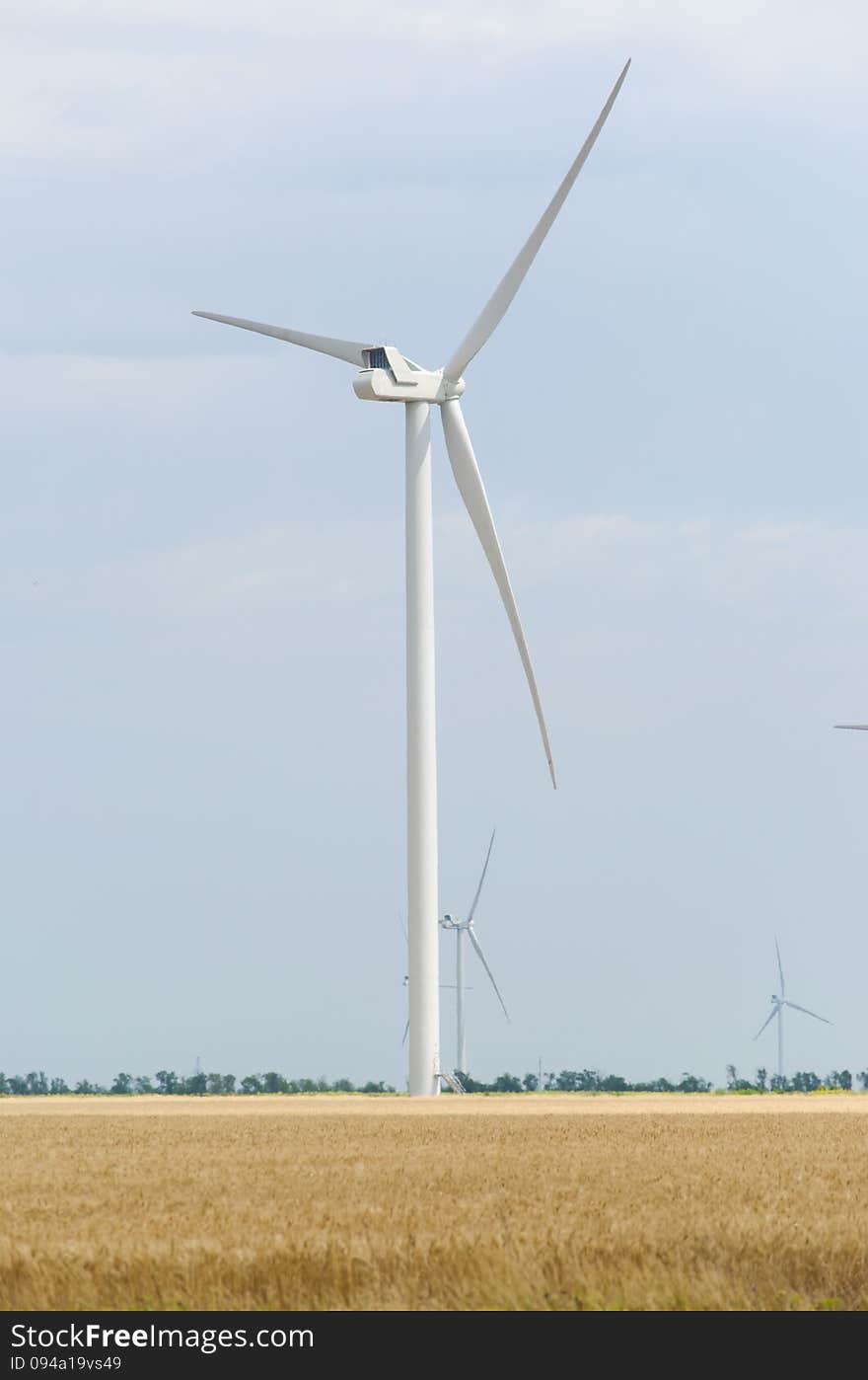 A wind farm in the wide spread field